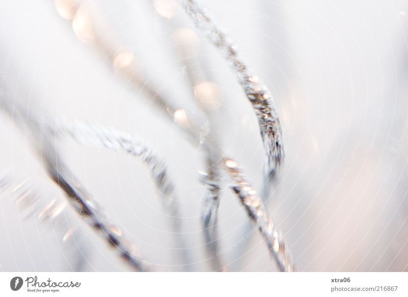 glitter Decoration Silver Colour photo Interior shot Close-up Detail Macro (Extreme close-up) Neutral Background Deserted Shallow depth of field Copy Space