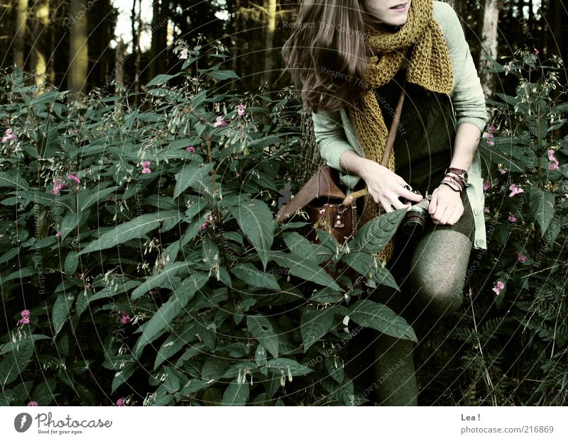 short rest Camera Feminine 1 Human being Autumn Wild plant Forest Bag Scarf Brunette Smiling Curiosity Subdued colour Exterior shot Copy Space left Day