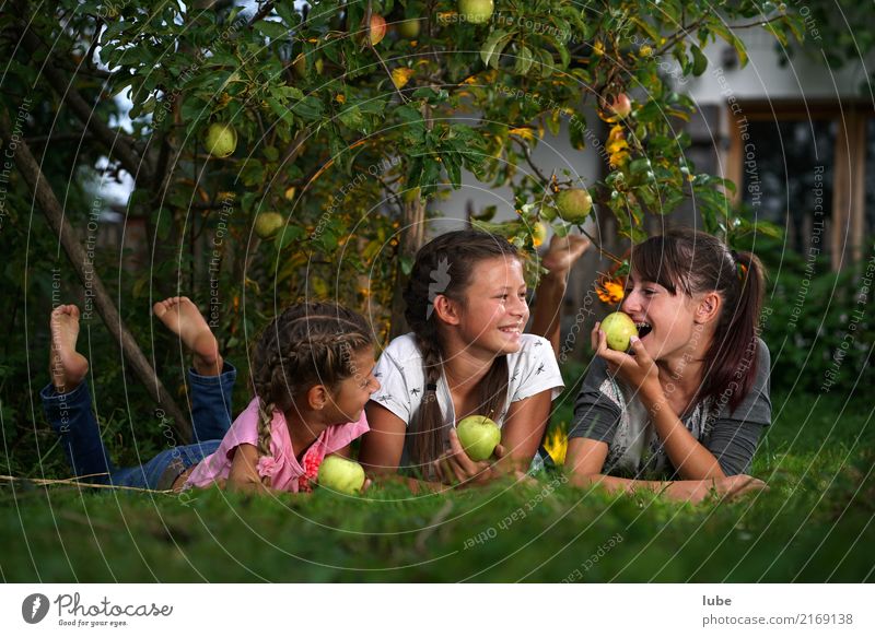 Apple harvest 2 Food Fruit Nutrition Eating Healthy Agriculture Forestry Girl Infancy Environment Nature Autumn Garden Meadow Relaxation Friendship