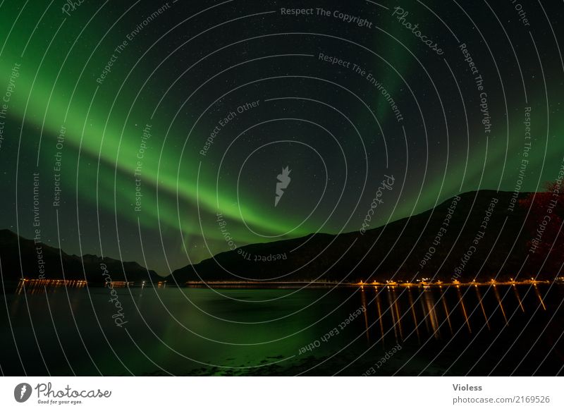 Aurora - Northern Lights in Norway Nature Sky Aurora Borealis Autumn Horizon Night sky Clouds Fjord Movement Exceptional Infinity Surrealism Mysterious Humble