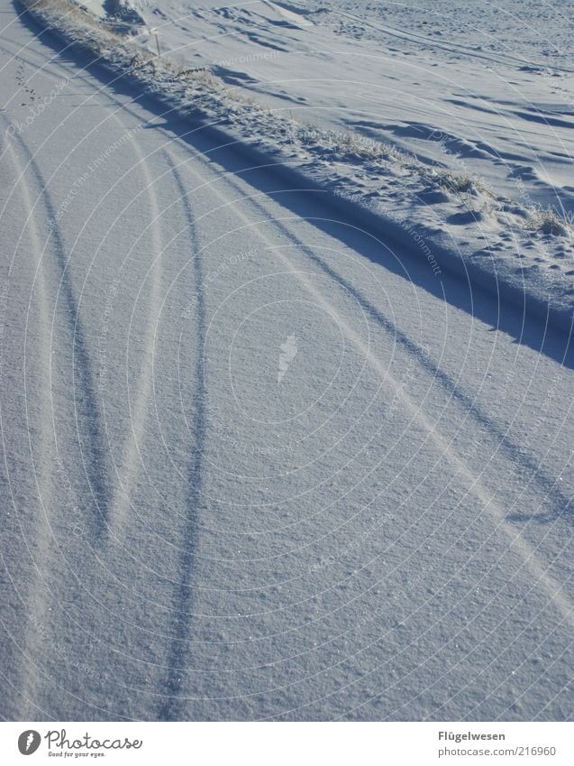 snow from yesterday Winter Snow Environment Nature Landscape Climate Climate change Ice Frost Cold Snowscape Snowdrift Snow layer Tracks Winter mood