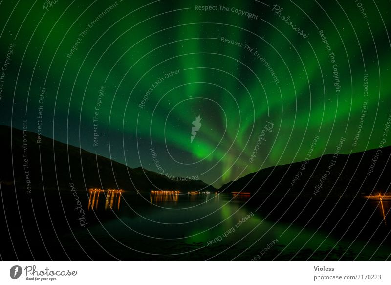 Northern Lights VIII Nature Sky Clouds Night sky Horizon Horizontal Autumn Aurora Borealis Fjord Movement Exceptional Infinity Humble Mysterious Surrealism