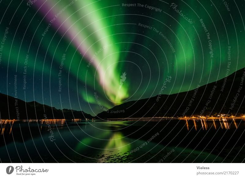 aurora borealis green Aurora Norway Light (Natural Phenomenon) Reflection Silhouette Contrast Shadow Humble Mysterious Surrealism Night Infinity Exceptional