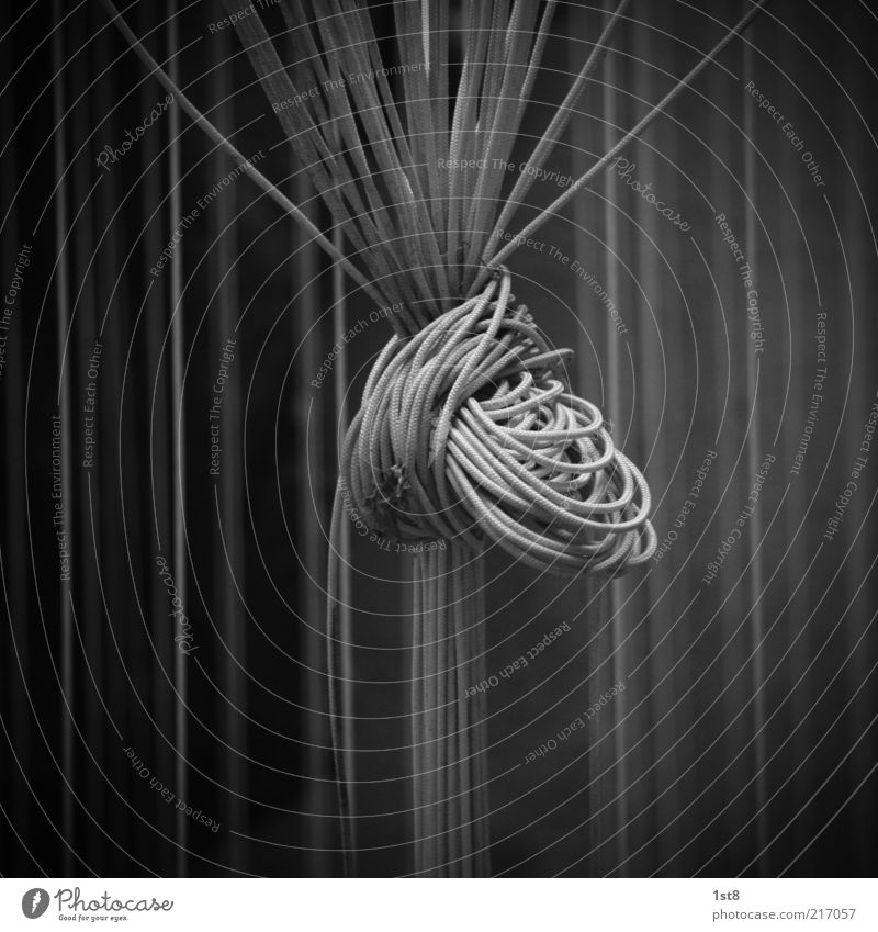 black Black Attachment Interconnected Node Knot Loop Black & white photo Detail Copy Space top Copy Space bottom Contrast Interlaced Terminal connector Rope