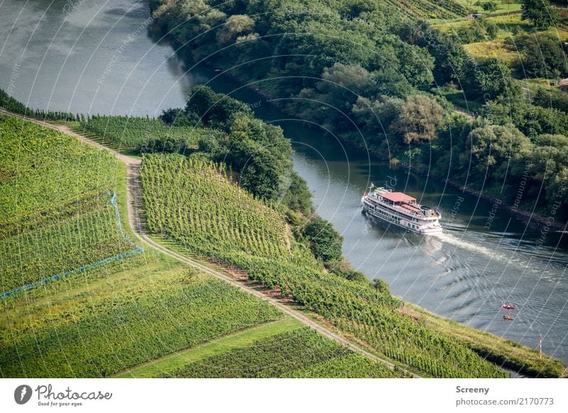 A Moselle trip, it's funny... Vacation & Travel Tourism Trip Nature Landscape Plant Water Summer Beautiful weather Tree Bushes Agricultural crop Field Hill