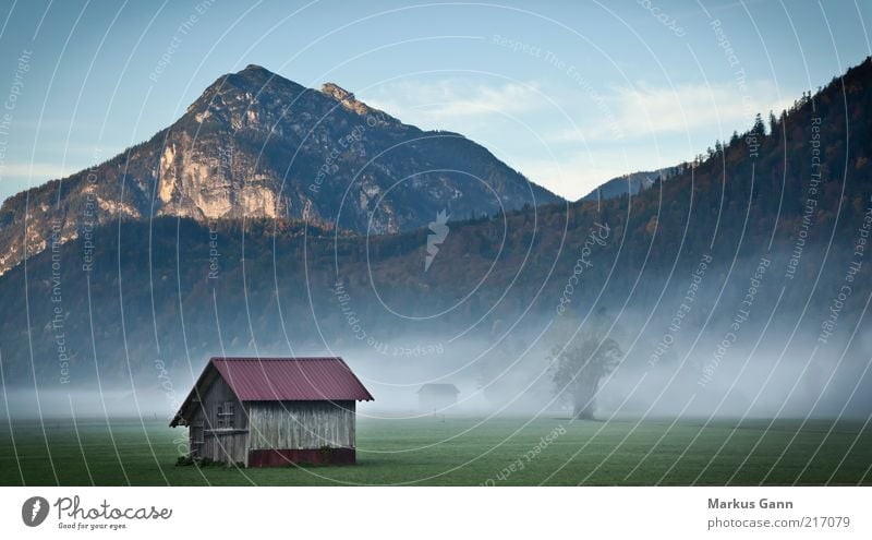 Hut in the foothills of the Alps Nature Landscape Autumn Weather Fog Tree Meadow Gray Germany Mountain Forest Dark Cold Morning Colour photo Exterior shot Dawn