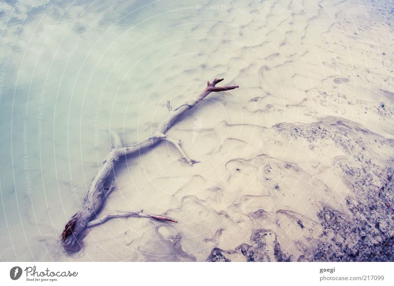 Crystal clear Nature Earth Sand Water Autumn Coast Lakeside Wood Wet Esthetic Transience Time Clarity Colour photo Exterior shot Deserted Day Reflection