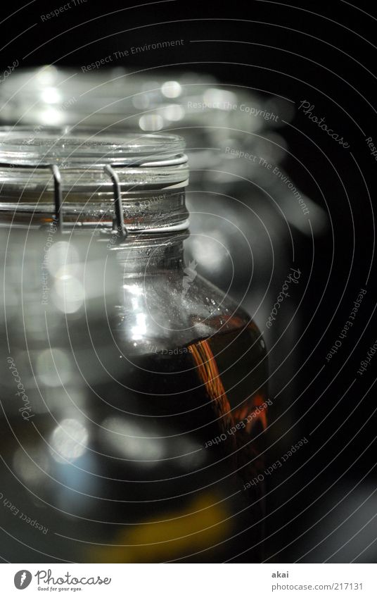 transparent Glass Dead animal Dark Gray Preserving jar formaldehyde Colour photo Interior shot Artificial light Shallow depth of field Stuffed animal Deserted