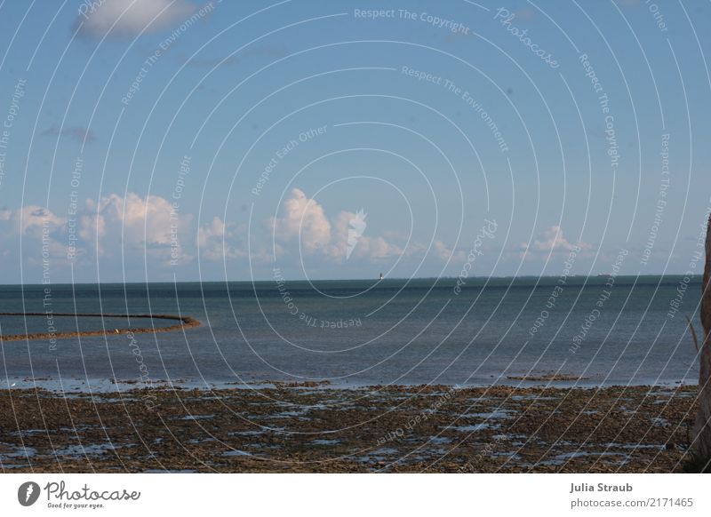 Ile de Ré Water Sky Clouds Summer Coast Ocean Island île de ré France Attentive Horizon Vacation & Travel Colour photo Day