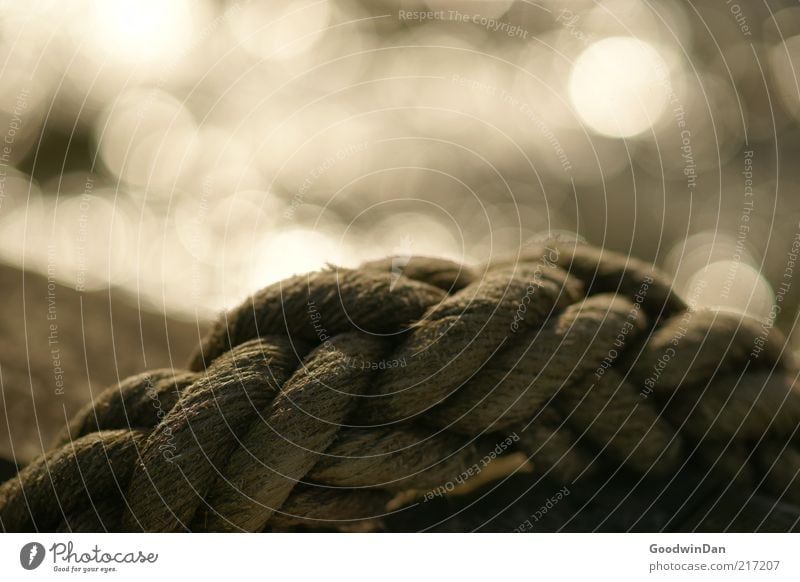 Coastal Magic IV Environment Elements Water Weather Old Moody Rope Knot Firm Gloomy Colour photo Exterior shot Twilight Shallow depth of field Glittering