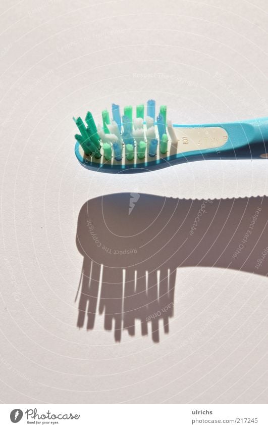 brush Toothbrush Authentic Blue Cleanliness Precision Colour photo Interior shot Close-up Detail Macro (Extreme close-up) Structures and shapes Shadow Bristles