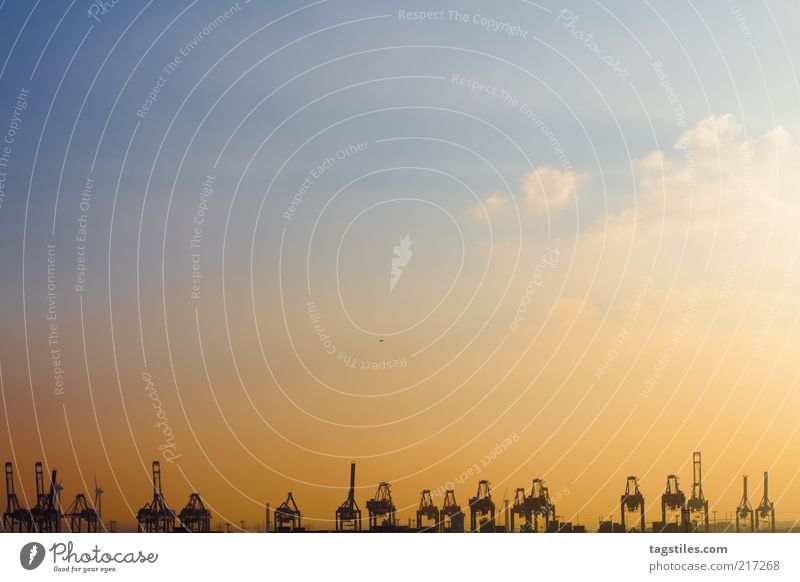 MACHINE WARS Harbour Hamburg Sunset loading cranes Navigation Logistics Crane Jetty Colour photo Copy Space top Orange Yellow Blue Industry
