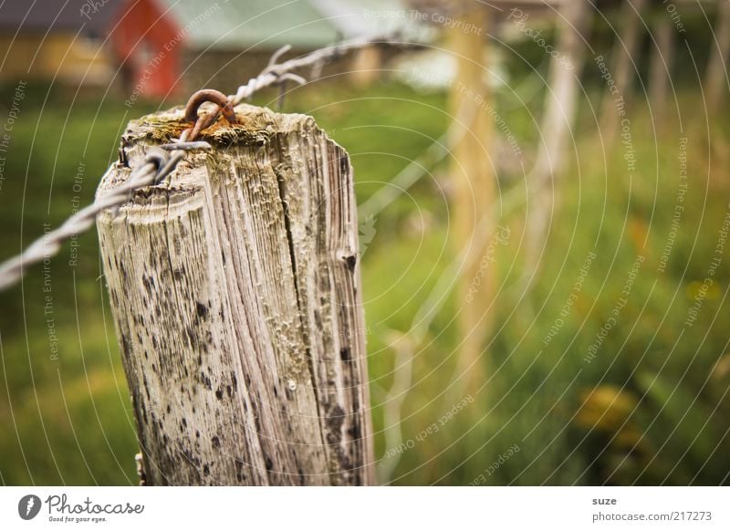 full post Agriculture Forestry Nature Landscape Meadow Old Green Føroyar Fence Pole Border Pasture Wire fence Fence post Wood Grass Enclosure Country life Rust