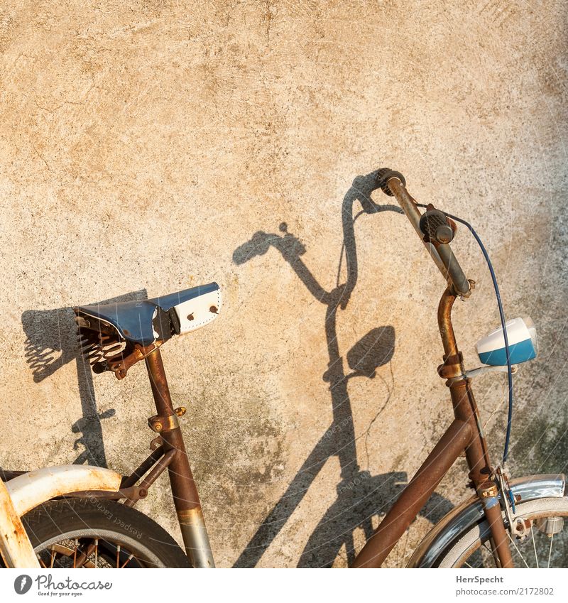 shadow rust Wall (barrier) Wall (building) Vehicle Bicycle Old Esthetic Exceptional Retro Trashy Gloomy Brown mini wheel Rust Patina Decline Transience