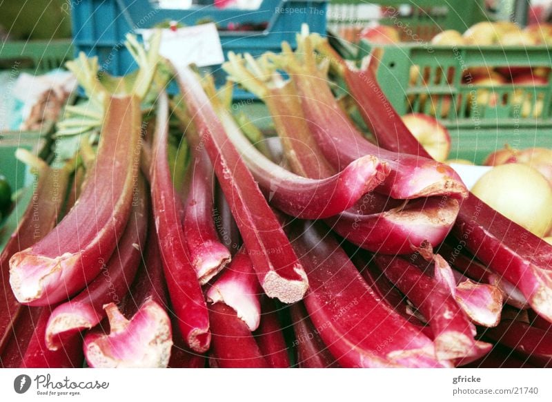 rhubarb Rhubarb Red Healthy Markets Close-up Vegetable Vegetarian diet