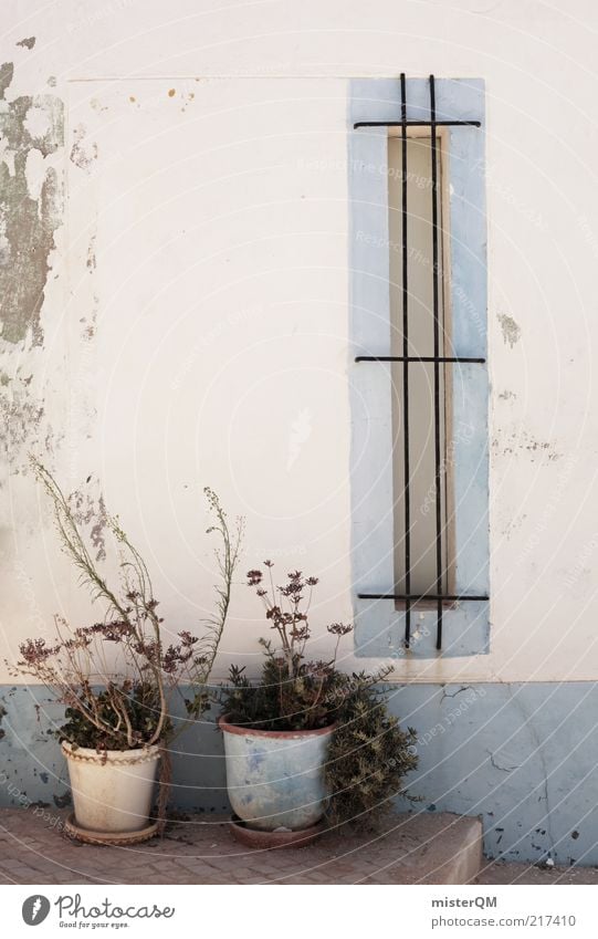 Roadside. Esthetic Alley Mediterranean Algarve Window Facade Flowerpot Blue White Backyard Wall (building) Lagos Indifference Unobserved Balcony Balcony plant