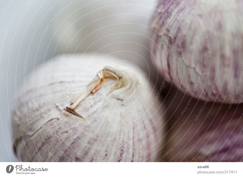 Knob Herbs and spices Nutrition Delicious Garlic Garlic bulb Colour photo Interior shot Close-up Detail Shallow depth of field Macro (Extreme close-up) Bulb