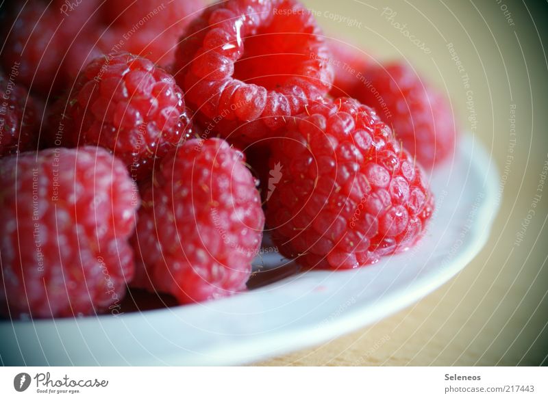 the last raspberries of the year Food Fruit Raspberry Nutrition Organic produce Vegetarian diet Crockery Plate Summer Lie Fresh Healthy Natural Nature