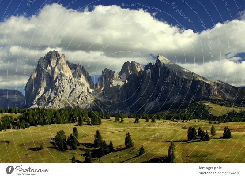 A mountain of grasses and trees Vacation & Travel Tourism Trip Far-off places Freedom Nature Landscape Clouds Meadow Rock Alps Mountain Peak Langkofel