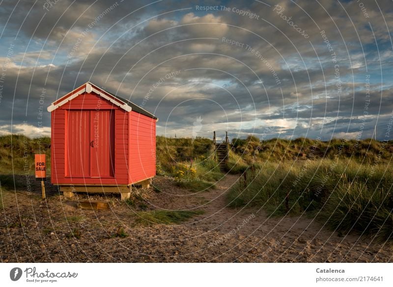 FOR SALE, red beach cottage, dunes and cloudy sky Landscape Sand Storm clouds Summer Beautiful weather Grass Bushes Broom Marram grass coast Beach Hut Wood Blue