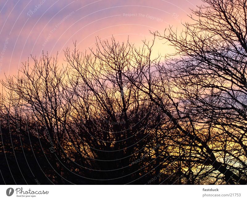 Sunset in North England Middlesbrough Late November Exposure time 1/2 sec.