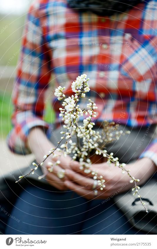 spring luck Thanksgiving Woman Adults 1 Human being Happy Trust Safety (feeling of) Agreed Sympathy Together Grateful Caution Serene Patient Meditation