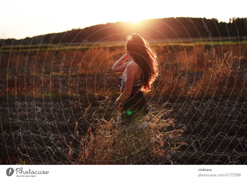 Indian buzzer Human being Feminine Young woman Youth (Young adults) 1 18 - 30 years Adults Environment Nature Landscape Sunrise Sunset Summer Autumn