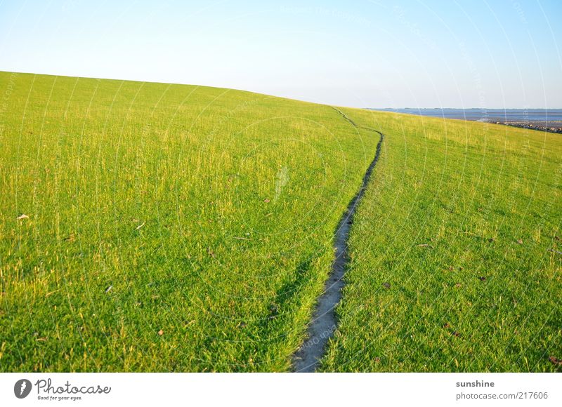 The way Landscape Sky Cloudless sky Summer Beautiful weather Grass Meadow Hill Coast North Sea Contentment Colour photo Exterior shot Day Light