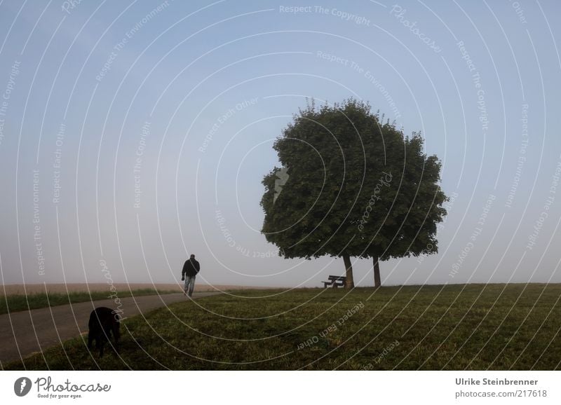 Morning walk of master and dog by tree pair Life Hiking Human being Masculine 1 Nature Landscape Sky Autumn Fog Tree Grass Field Pedestrian Street Animal Pet