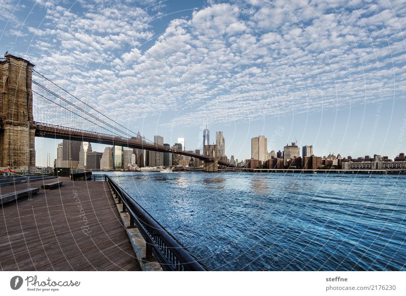 Bridge day: Brooklyn Town New York City downtown manhattan Manhattan Brooklyn Bridge East River Beautiful weather Clouds Multicoloured Exterior shot Wide angle