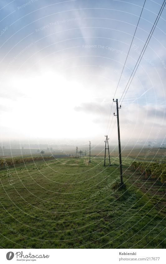 vineyard Wine growing Energy industry Electricity pylon Landscape Clouds Autumn Beautiful weather Fog Vineyard Field Deserted Breathe To enjoy Dream Exceptional