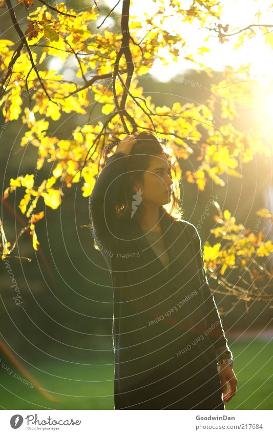 braving the sun II Human being Feminine Young woman Youth (Young adults) Environment Nature Park Discover Relaxation To enjoy Beautiful Warmth Emotions Moody