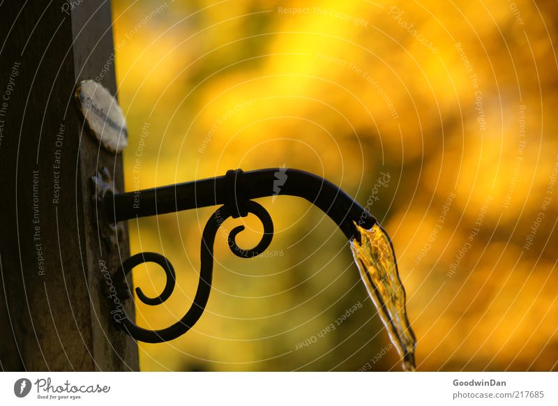 drinking water Environment Water Glittering Well Tap Drinking water Autumn Blur Colour photo Exterior shot Deserted Dawn Light Shadow Contrast Copy Space top