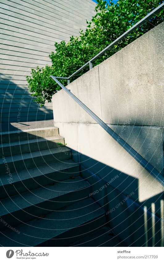 Between Kronentor and Fetscherplatz Beautiful weather Dresden Town Synagogue Colour photo Exterior shot Shadow Contrast Bushes Leaf Stairs Handrail Deserted