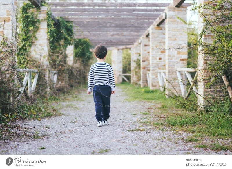 child walking on a road Lifestyle Human being Masculine Child Toddler Boy (child) Infancy 1 3 - 8 years Nature Spring Garden Park Field Walking