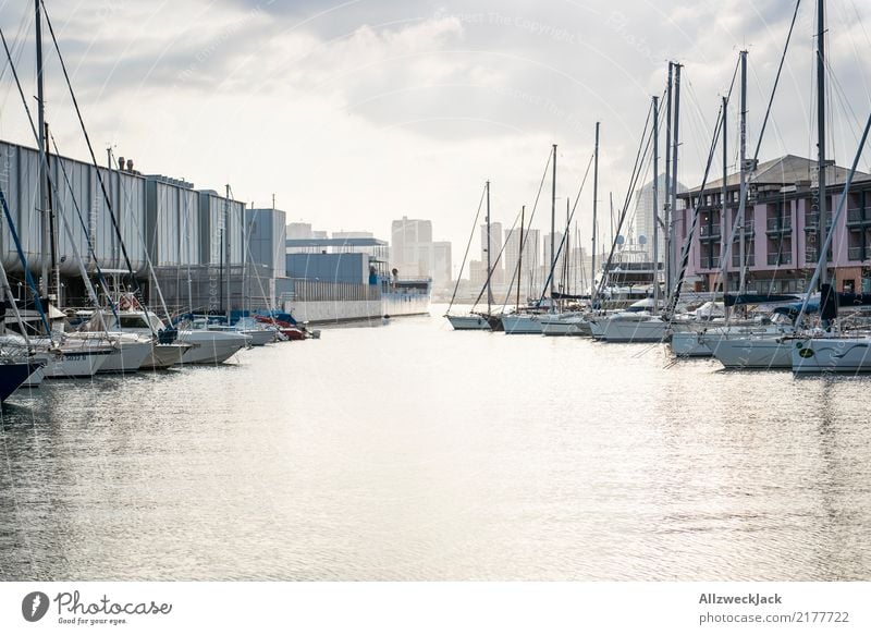 Genoa 1 Vacation & Travel Trip Sightseeing City trip Port City Navigation Sailboat Sailing ship Harbour Yacht harbour Maritime Water Skyline Clouds Reflection