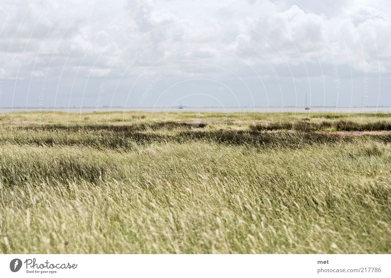 Calm before the storm Far-off places Freedom Summer Ocean Island Environment Nature Landscape Sky Clouds North Sea Wangerooge Germany Relaxation Serene Field