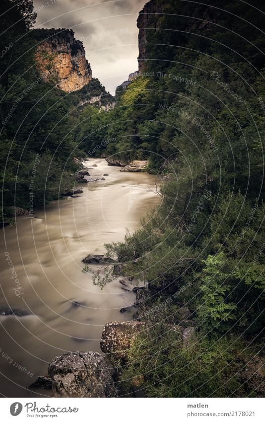 After the rain Nature Landscape Plant Water Sky Clouds Summer Bad weather Rain Tree Grass Bushes Forest Rock Mountain Coast River bank Deserted Dark Brown Gray