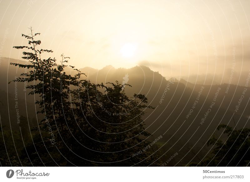 Sunrise over the mountains in the north of Thailand Nature Landscape Sky Horizon Sunset Sunlight Beautiful weather Tree Mountain Natural Loneliness Discover