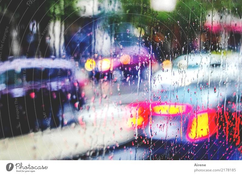 blinking in the rain Drops of water Bad weather Rain Transport Means of transport Rush hour Road traffic Motoring Bus travel Traffic jam Street Car Fluid Wet