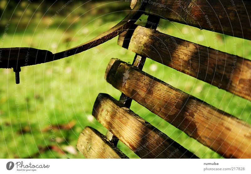 Bank in the park Nature Autumn Beautiful weather Wood Old Simple Brown Green Calm Bench Garden bench Park bench Colour photo Exterior shot Deserted Morning