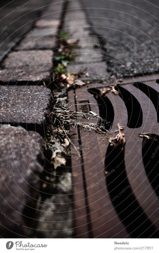 tightrope walk Stone Concrete Metal Steel Rust Threat Creepy Brown Gray Black Power Colour photo Black & white photo Exterior shot Close-up Detail