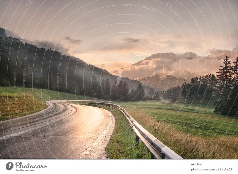 Sunset in the mountains Moody Sunrise Light Street Nature Meadow Hill Green Clouds High fog Low cloud Forest firs trees Landscape Alps Mountain Sky Environment