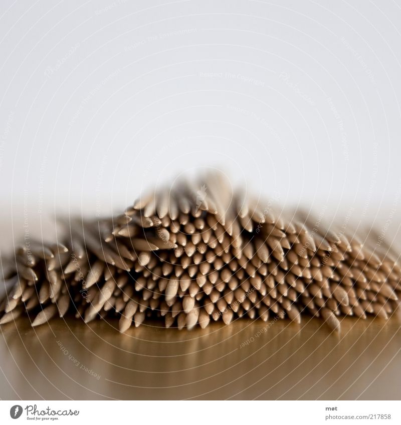 prick Wood Thorny wooden skewer speared Wooden pole Colour photo Deserted Copy Space top Blur Shallow depth of field Neutral Background Heap Accumulation