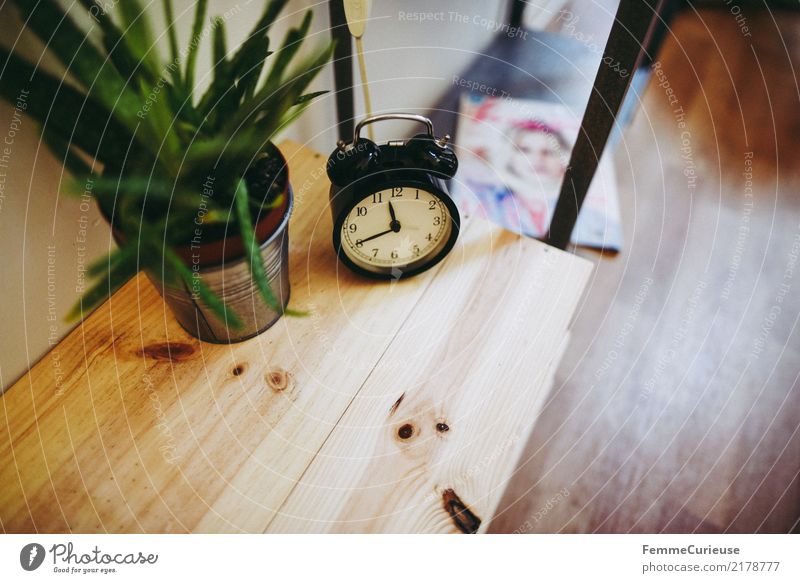 Home_05 Pot plant Living or residing Aloe Alarm clock Flowerpot Wooden table Women's magazines Bedroom Decoration Homey Colour photo Interior shot