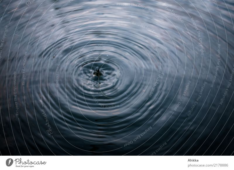 Vibrations (4) Harmonious Calm Meditation Nature Elements Water Drops of water Line Circular Esthetic Dark Fantastic Fluid Stress Movement Protest Growth