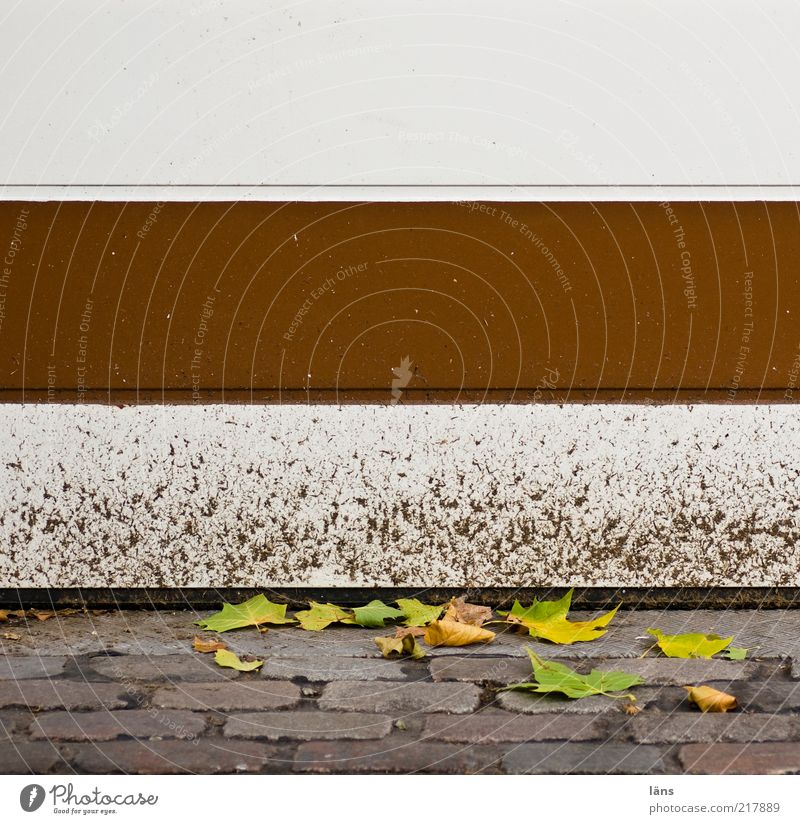 brown-white Autumn Leaf Lanes & trails Stone Metal Dirty Brown White Cobblestones Garage door Highway ramp (entrance) Closed Varnish Schanzen quarter