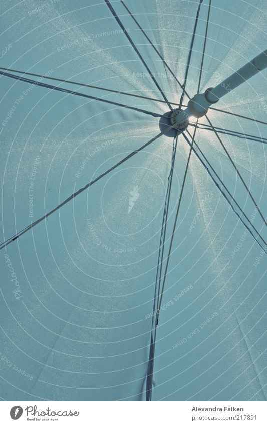 parasol Summer Blue Sunshade Protection Weather protection Shielded Colour photo Exterior shot Deserted Sunlight Prop Copy Space bottom Copy Space left