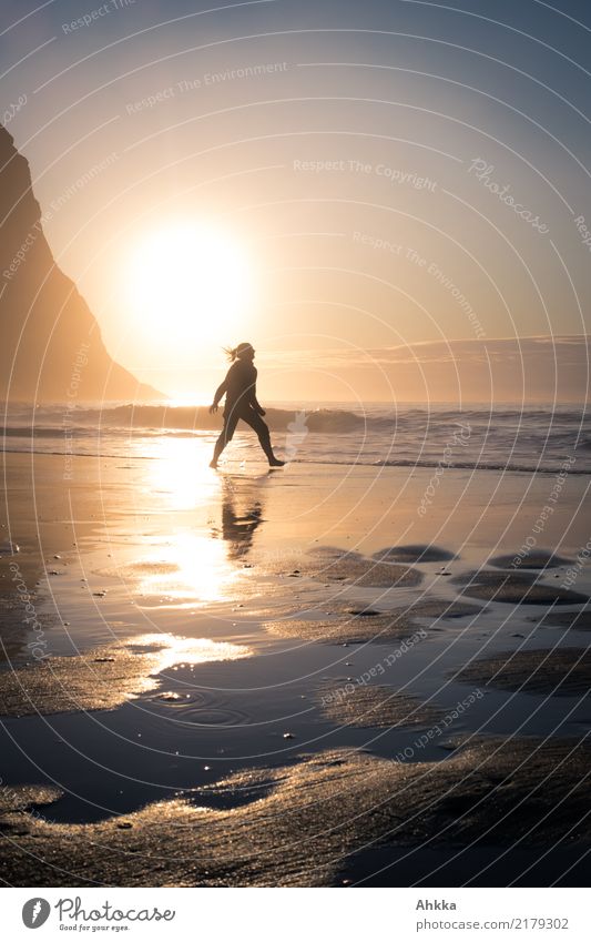 beach, polar sea, sunset, reflection, young woman Athletic Harmonious Well-being Contentment Senses Relaxation Summer vacation Sun Beach Ocean Young woman