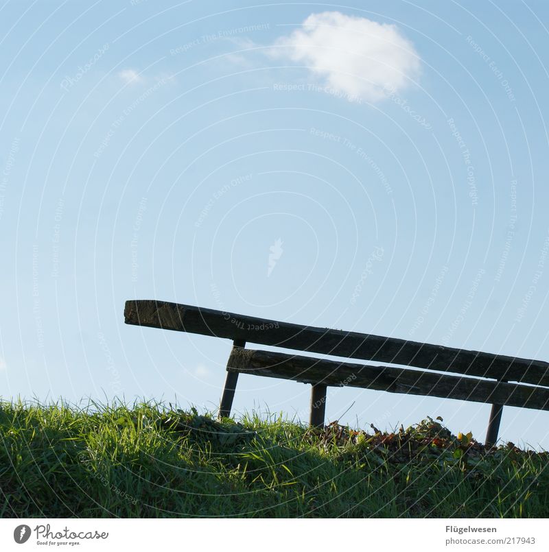 substitution bench Vacation & Travel Trip Bench Park Sky Clouds Park bench Colour photo Exterior shot Day Sunlight Deserted Old Meadow